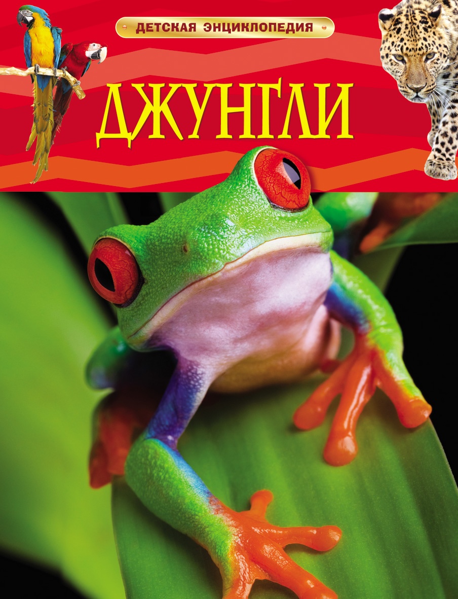 cover1-315.jpg