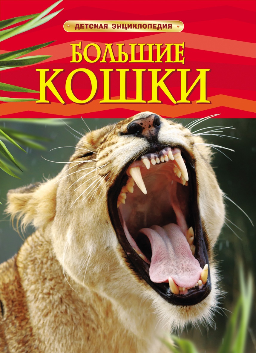 cover1-318.jpg